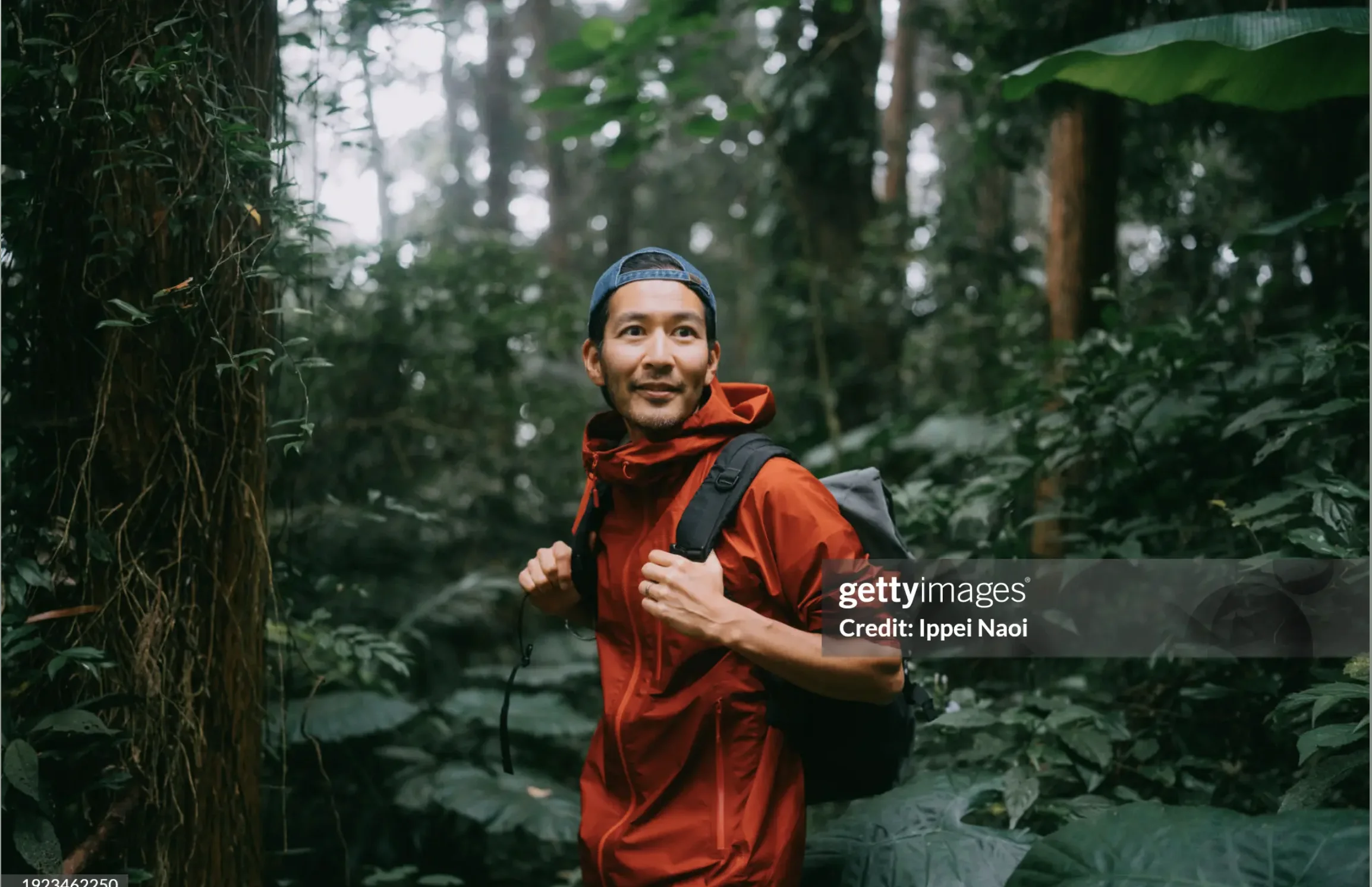 Hiker in Red Jacket Exploring Lush Forest